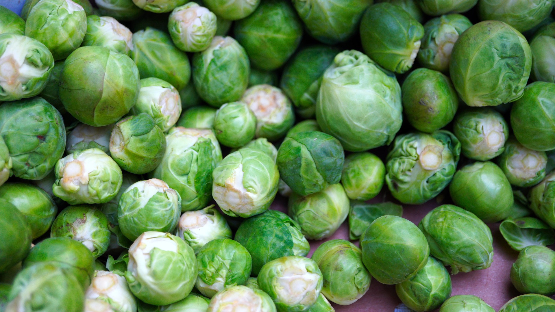 brussels-sprouts-gefb6fa717_1920